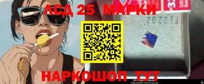 индика Аргун