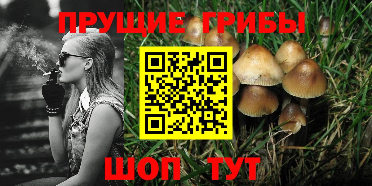 Псилоцибиновые грибы MAGIC MUSHROOMS  Вход с VPN  хочу наркоту  Воткинск 